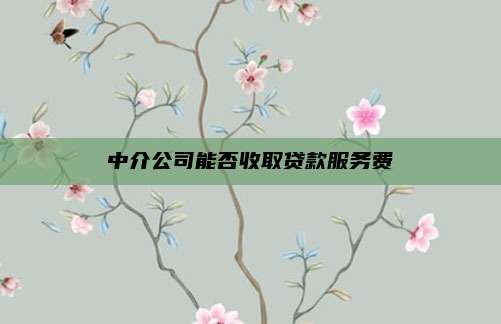 中介公司能否收取贷款服务费