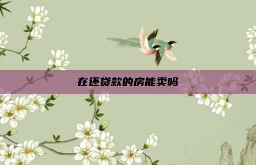 在还贷款的房能卖吗