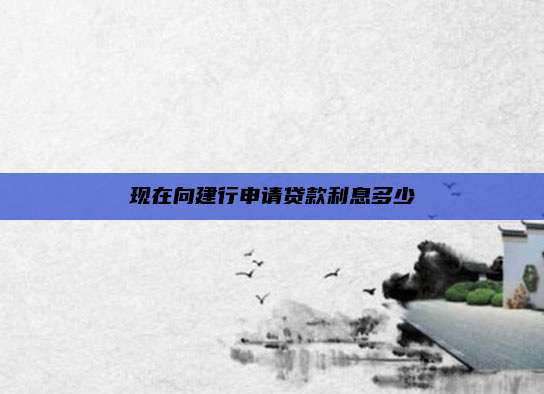 现在向建行申请贷款利息多少