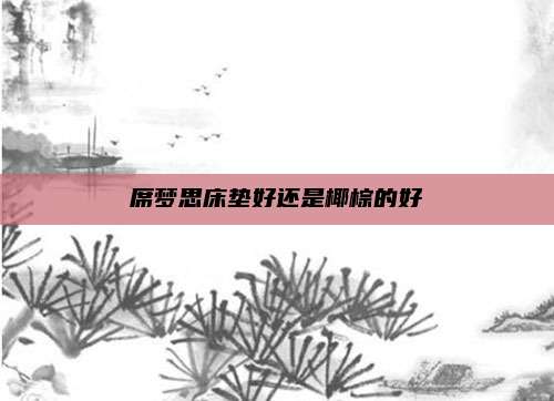 席梦思床垫好还是椰棕的好