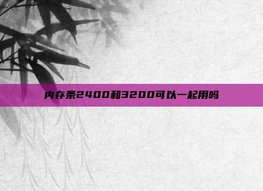 内存条2400和3200可以一起用吗
