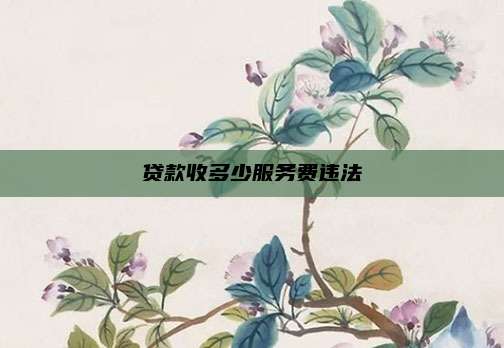 贷款收多少服务费违法