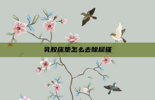 乳胶床垫怎么去除尿骚