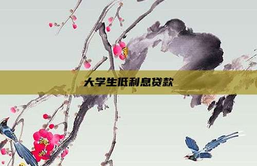 大学生低利息贷款