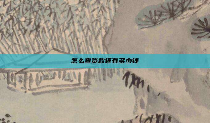 怎么查贷款还有多少钱