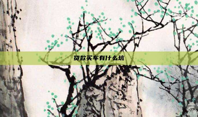 贷款买车有什么坑