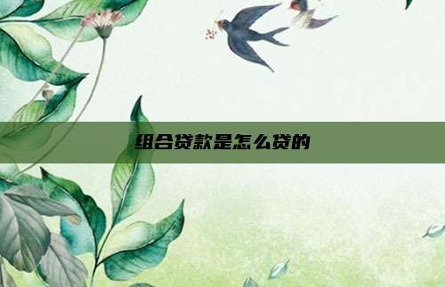 组合贷款是怎么贷的