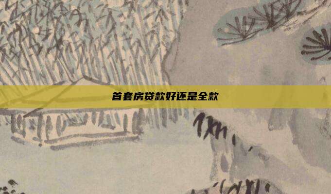 首套房贷款好还是全款