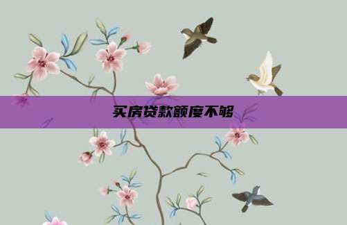 买房贷款额度不够