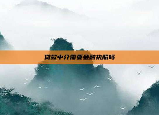 贷款中介需要金融执照吗