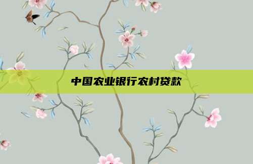 中国农业银行农村贷款