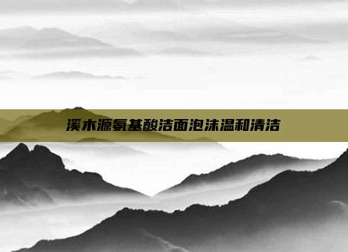 溪木源氨基酸洁面泡沫温和清洁