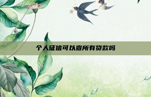 个人征信可以查所有贷款吗