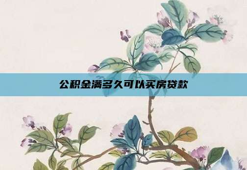 公积金满多久可以买房贷款