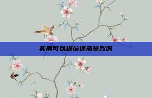 买房可以提前还清贷款吗