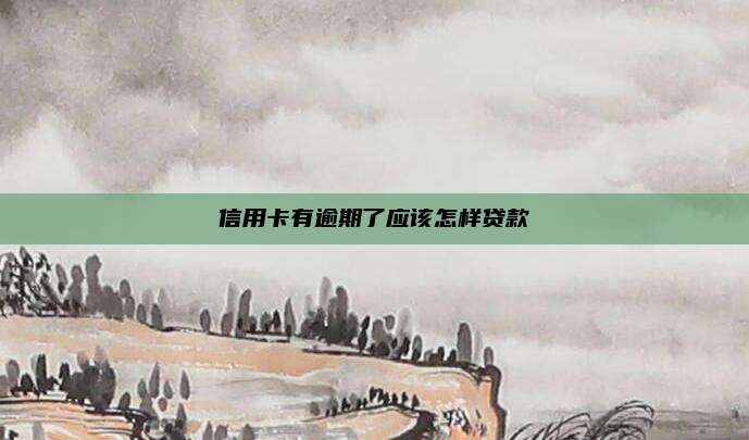信用卡有逾期了应该怎样贷款