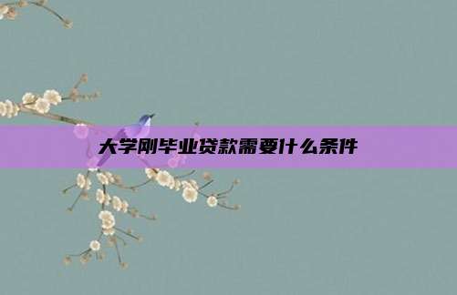 大学刚毕业贷款需要什么条件