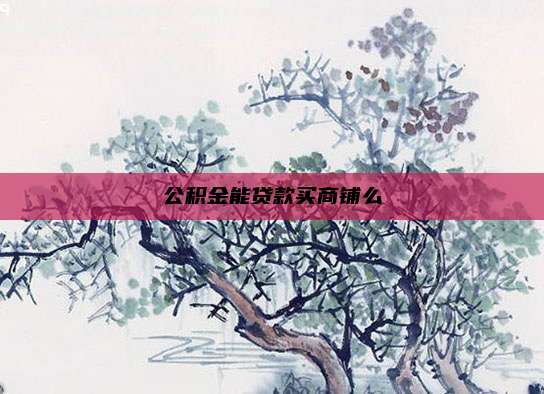 公积金能贷款买商铺么