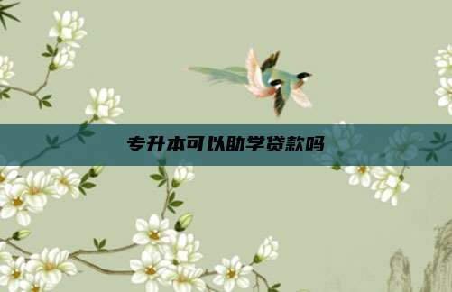 专升本可以助学贷款吗