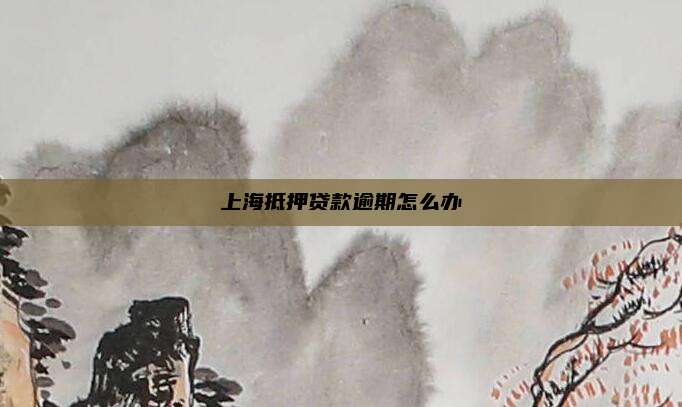 上海抵押贷款逾期怎么办