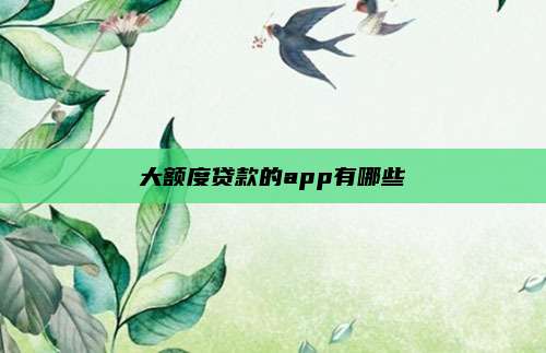 大额度贷款的app有哪些