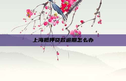 上海抵押贷款逾期怎么办