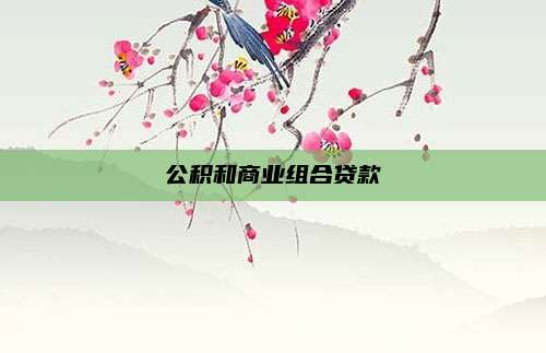 公积和商业组合贷款