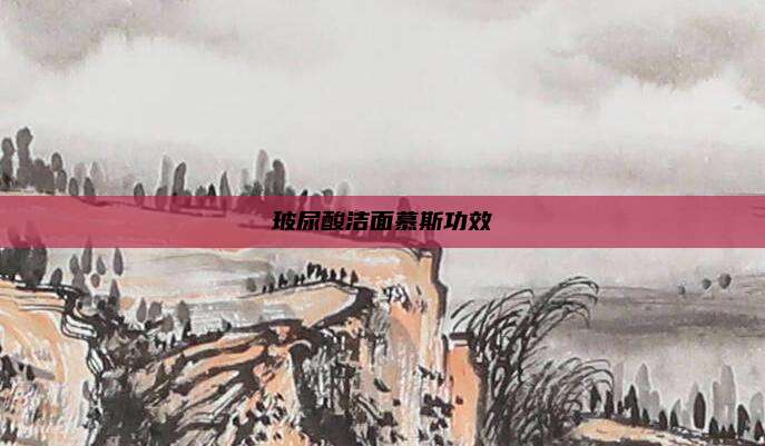 玻尿酸洁面慕斯功效