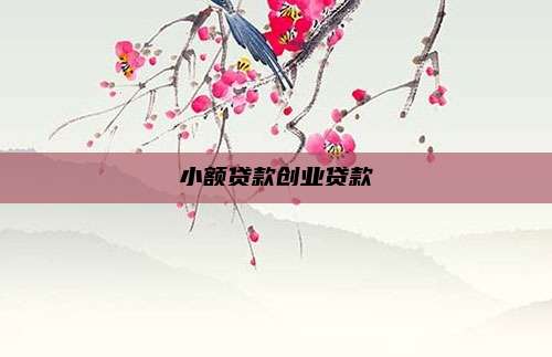 小额贷款创业贷款