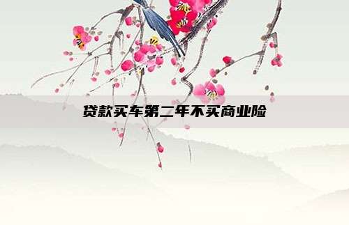 贷款买车第二年不买商业险
