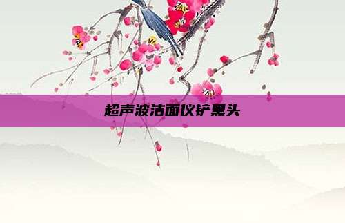 超声波洁面仪铲黑头