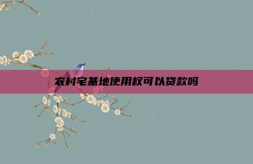 农村宅基地使用权可以贷款吗