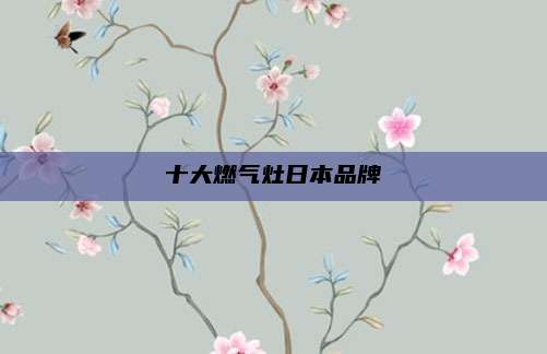 十大燃气灶日本品牌