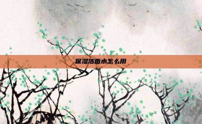 保湿洁面水怎么用