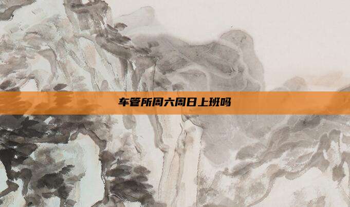 车管所周六周日上班吗