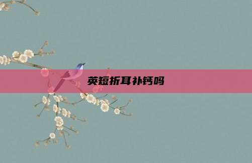 英短折耳补钙吗