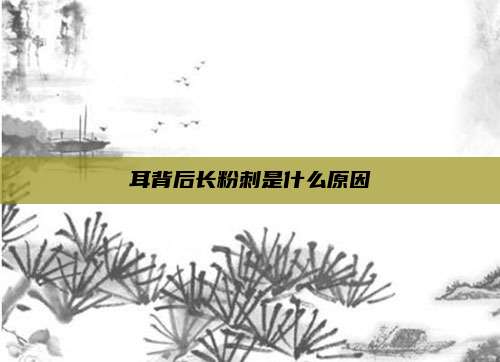 耳背后长粉刺是什么原因