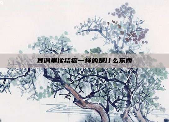 耳洞里像结痂一样的是什么东西